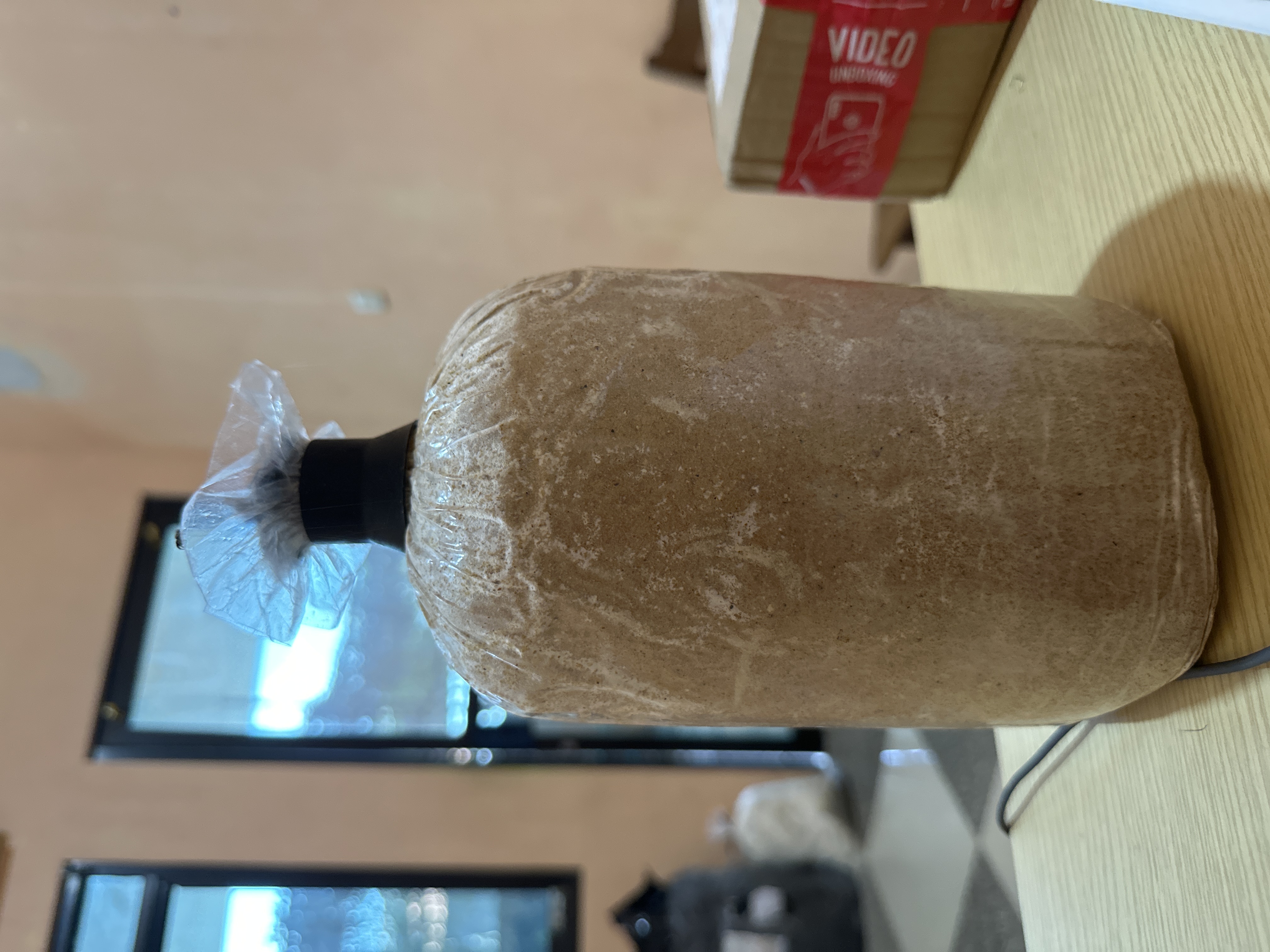 Freeze Dried Salak
